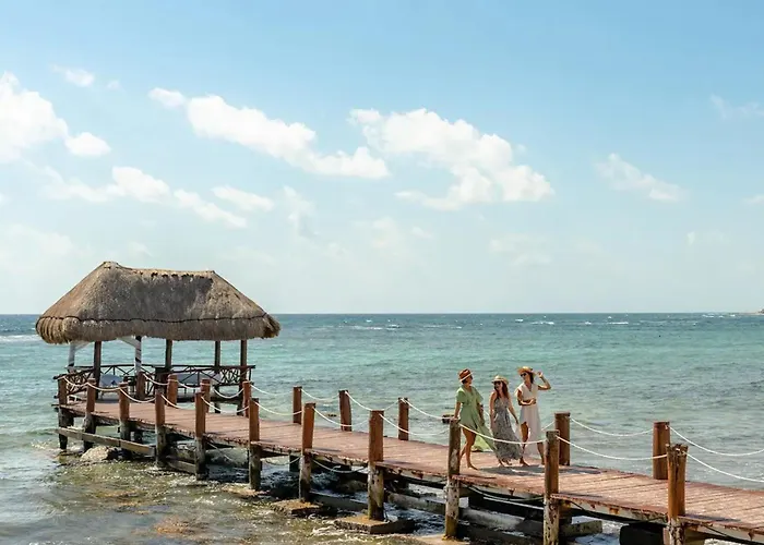 Ocean View Haven Walk To Private Rooftop Terrace * Akumal